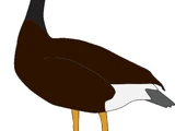 Goose