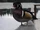 Wood Duck