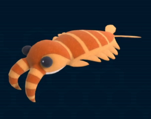Anomalocaris.png