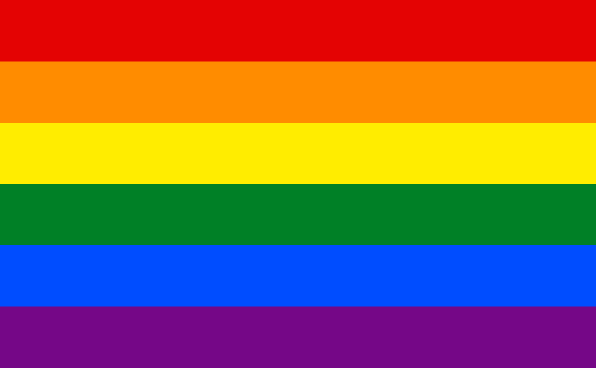 Gay Pride Flag.svg.webp