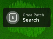 Grass patch