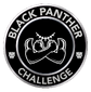 Black Panther Banner.png