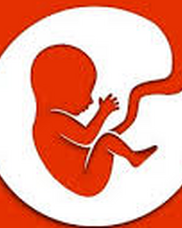 bitlife life simulator wiki fandom