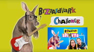 Bizaardvark Challenge