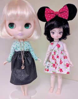 Blythe | Ball-Jointed Doll Wiki | Fandom