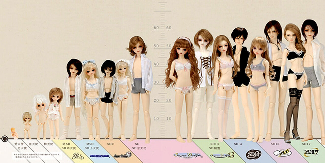 Doll Sizes Ball Jointed Doll Wiki Fandom