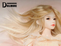 Dollmore zaoll cheap