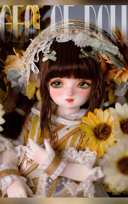 1 6 Sunny Gem of Doll Ball Jointed Doll Wiki Fandom