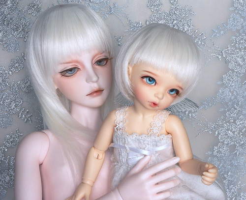Dream of Doll | Ball-Jointed Doll Wiki | Fandom