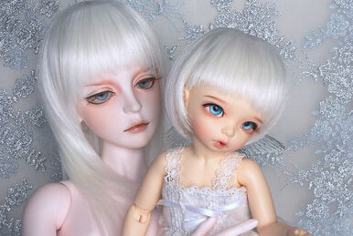 Introduction – What are Ball-joint dolls?