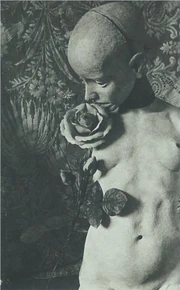 Die Puppe (german; translates to The Doll) by Hans Bellmer, 1934