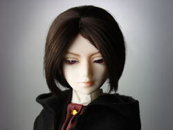 Alchemic Labo Unoa Ball Jointed Doll Wiki Fandom