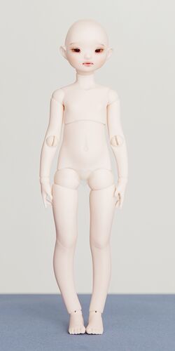 Dust of cheap dolls bjd