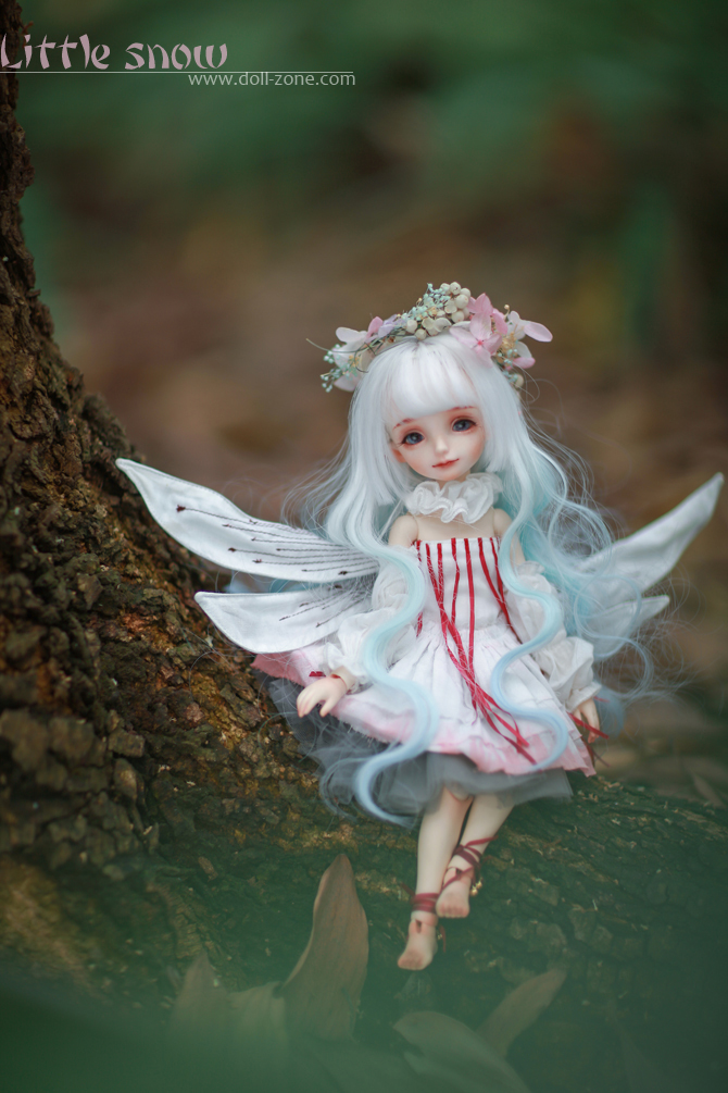 DollZone 1/6 Doll | Ball-Jointed Doll Wiki | Fandom DollZone 1/6 Doll | Ball-Jointed Doll Wiki | Fandom