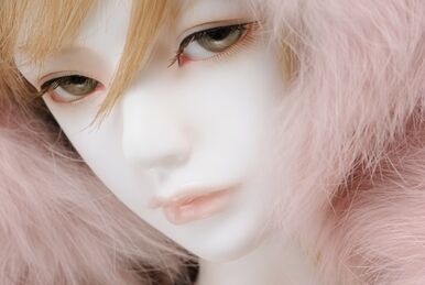Dollmore zaoll clearance