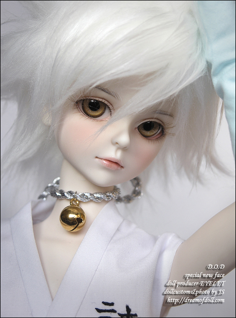 dream of dolls bjd