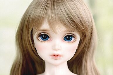 Dream of doll website clearance