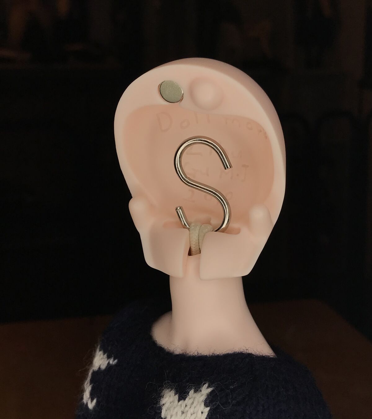 Head Anatomy Attachment Ball Jointed Doll Wiki Fandom