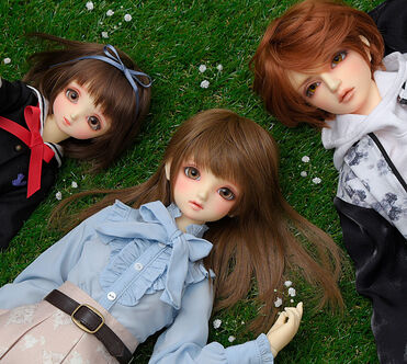 Ball Jointed Dolls Ball Jointed Doll Wiki Fandom