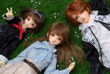 Dream of doll website sales