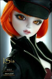 Dream of doll shop hotsell