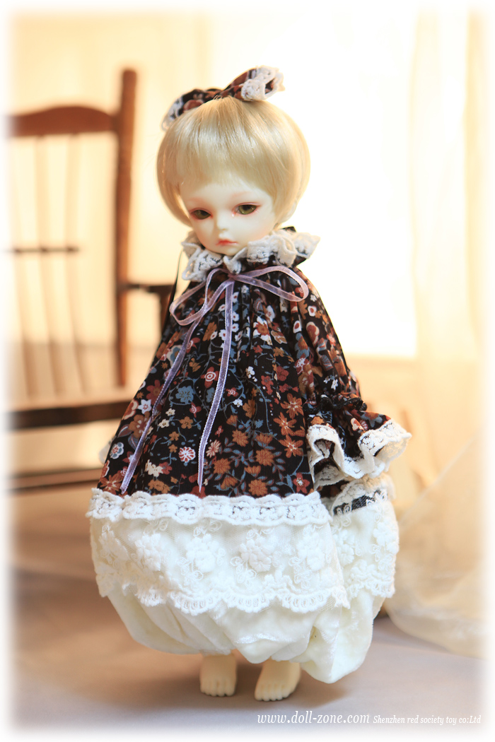 DollZone 1/6 Doll | Ball-Jointed Doll Wiki | Fandom