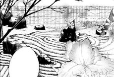 Manga Steingarten.jpg