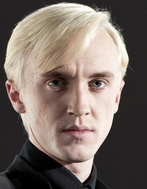 Draco Malfoy, Black Family Wiki