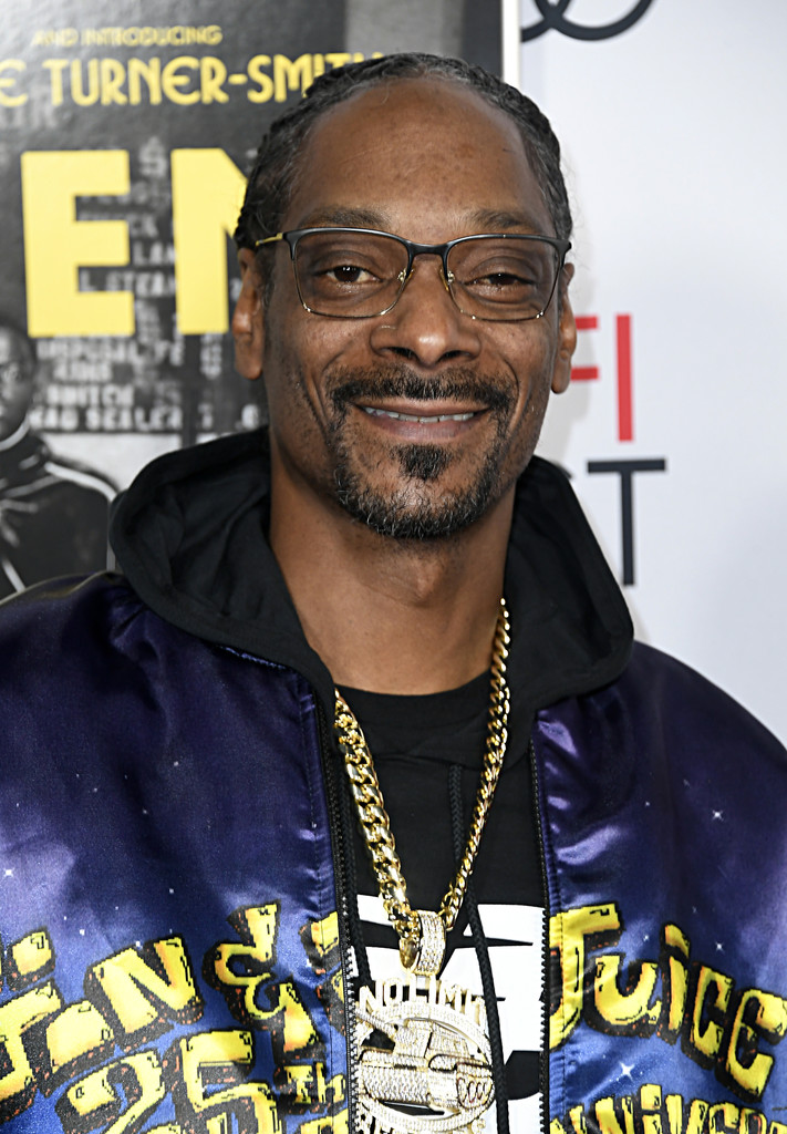 Snoop Dogg BMF Wiki Fandom