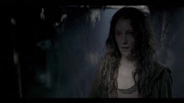 Catarina
