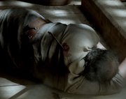 Merchant Ship's Cook Dead