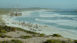 The Urca lies broken on the shores of Florida.