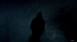 Sebastian Frakes' body