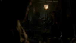 Walrus violin player