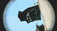 Captain Flint's flag