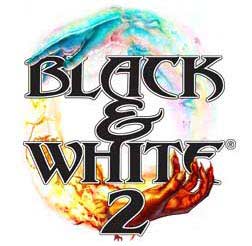 More info for Black and White 2!