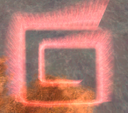 Pack miracle gesture.