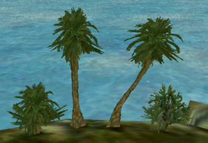 Palm-trees