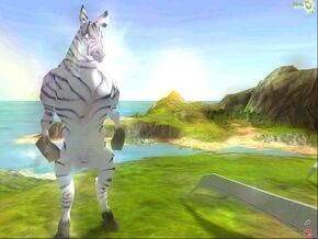 Zebra