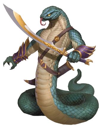 Yuan Ti 5e Race Blackbando S Homebrew Wiki Fandom Yuan Ti 5e Race Blackbando S Homebrew Wiki Fandom