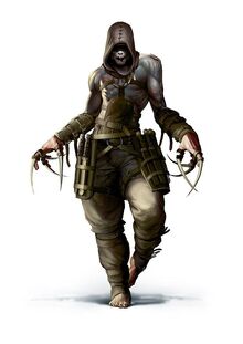Assassin domain