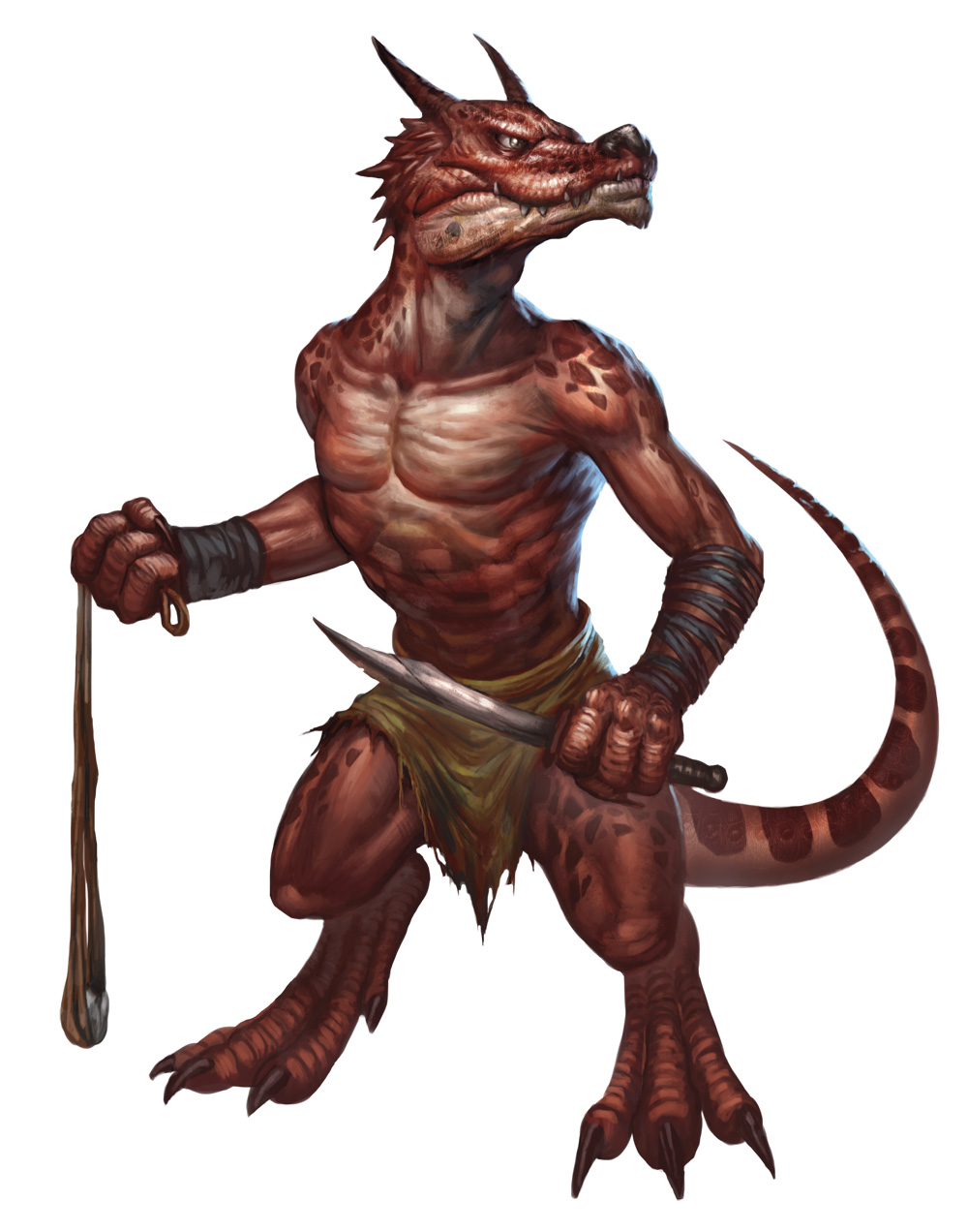 Kobold 5e Race Blackbando S Homebrew Wiki Fandom