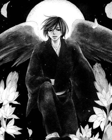 Kyo Usui Black Bird Wiki Fandom