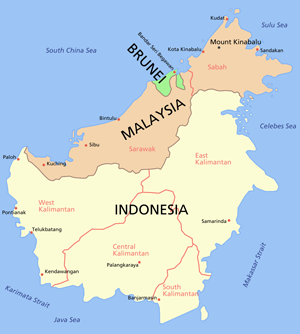 Borneo Black Books Wiki Fandom Borneo Black Books Wiki Fandom