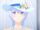 Seitenshi