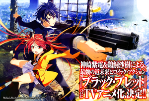 Black Bullet Anime Promotional Poster