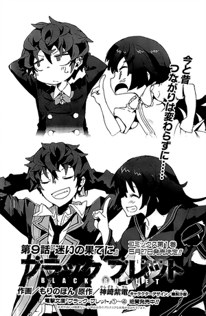 SPOILERS ABOUT THE END  Black Bullet Light Novel 