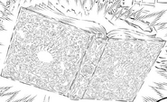 Lucius's grimoire while using purified devil power