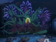 Taman Luka Bakar Zofnir Tanpa Batas