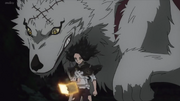 Charmy and her wolf